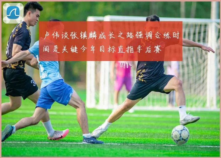 卢伟谈张镇麟成长之路强调合练时间是关键今年目标直指季后赛