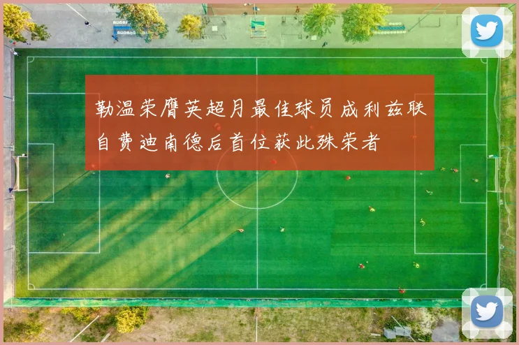 勒温荣膺英超月最佳球员成利兹联自费迪南德后首位获此殊荣者