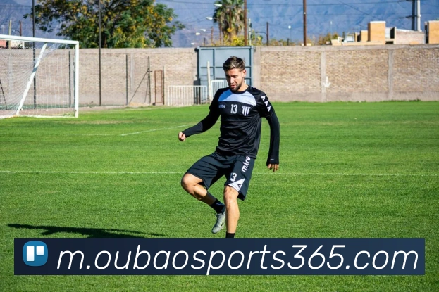 欧宝体育平台生态图