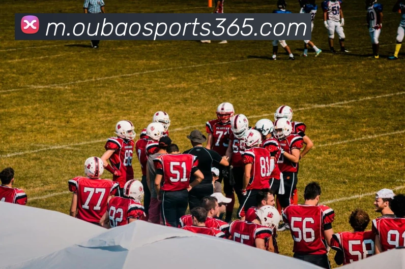 欧宝体育APP 封面图